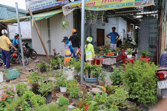 Chính thức xóa sổ 50 ki-ốt gần sân bay Tân Sơn Nhất, hàng trăm con chó mèo, thỏ con... không biết sẽ về đâu - Ảnh 4.