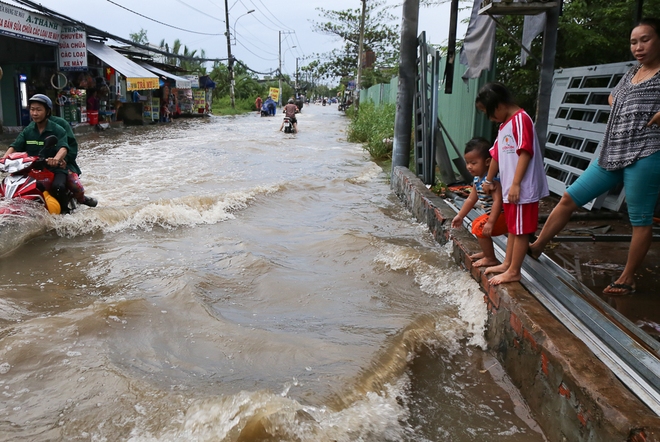 Gần 3km đường biến thành sông vì triều cường, ô tô “quật” trẻ em té ngã giữa dòng nước ở Sài Gòn - Ảnh 16.