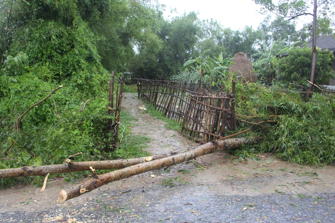 B&atilde;o số 4 suy yếu th&agrave;nh &aacute;p thấp nhiệt đới sau khi đổ bộ Quảng Trị - Ảnh 1.
