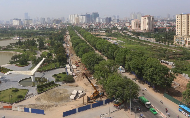 Hà Nội: Nhìn lại 1.300 cây xanh trên đường Phạm Văn Đồng sẽ bị chặt hạ trong 3 tháng tới - Ảnh 1.