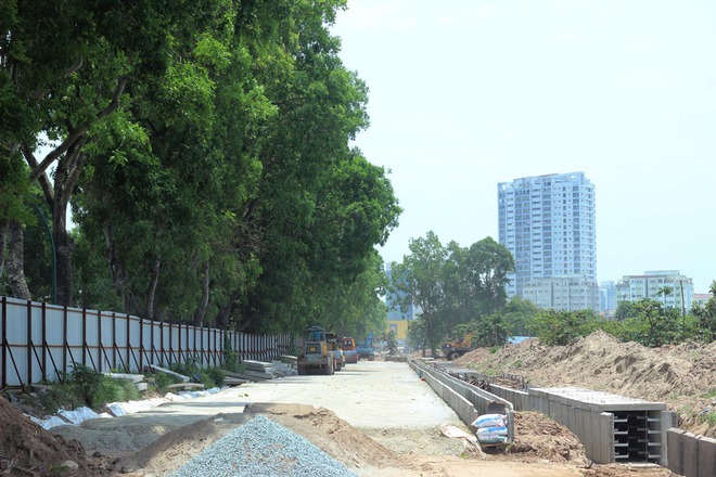 Hà Nội: Nhìn lại 1.300 cây xanh trên đường Phạm Văn Đồng sẽ bị chặt hạ trong 3 tháng tới - Ảnh 7.