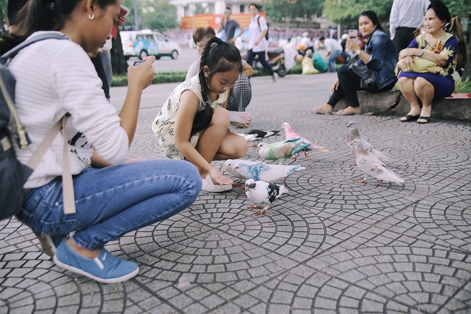 Người nhuộm màu cho đàn bồ câu ở nhà thờ Đức Bà gây tranh cãi: Chúng tôi chỉ muốn đàn bồ câu thêm sinh động - Ảnh 2.