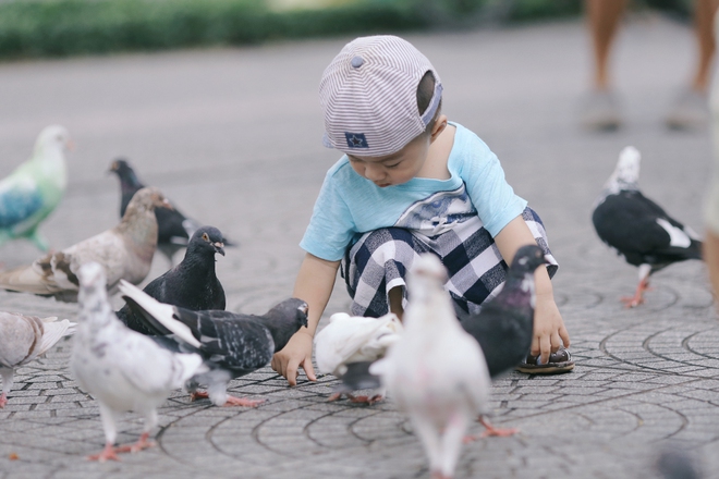 Người nhuộm màu cho đàn bồ câu ở nhà thờ Đức Bà gây tranh cãi: Chúng tôi chỉ muốn đàn bồ câu thêm sinh động - Ảnh 9.