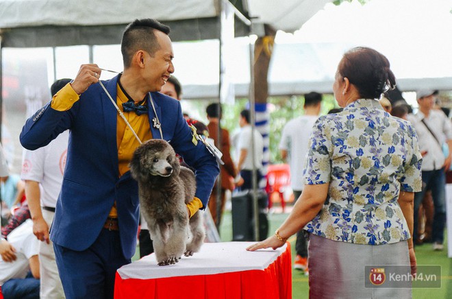 Ngắm những chú chó quý tộc giá nghìn USD tại Dog show 2017 ở Sài Gòn - Ảnh 14.