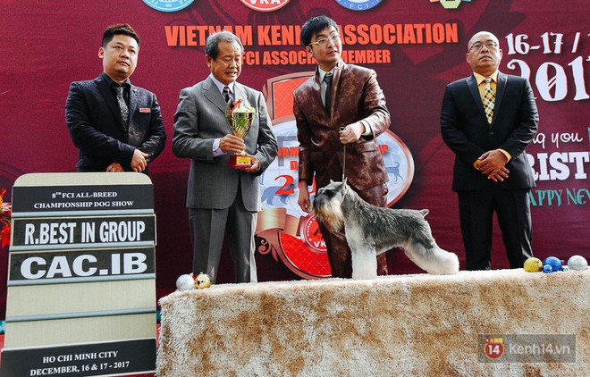 Ngắm những chú chó quý tộc giá nghìn USD tại Dog show 2017 ở Sài Gòn - Ảnh 18.