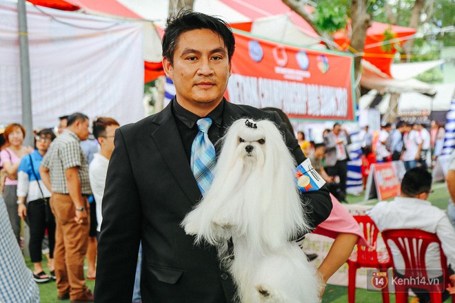 Ngắm những chú chó quý tộc giá nghìn USD tại Dog show 2017 ở Sài Gòn - Ảnh 7.