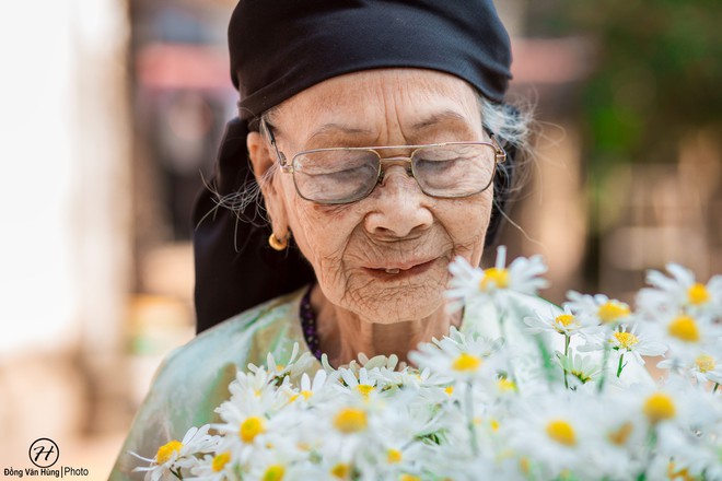 Người mẫu 99 tuổi điệu đà tạo dáng bên hoa cúc họa mi - Ảnh 3.