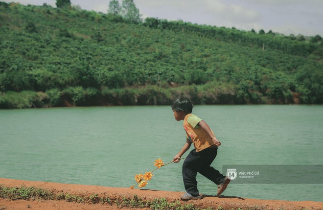 Chùm ảnh: Nơi những chiếc xe đồ chơi làm từ hoa dã quỳ là cả tuổi thơ của lũ trẻ nhỏ - Ảnh 6.