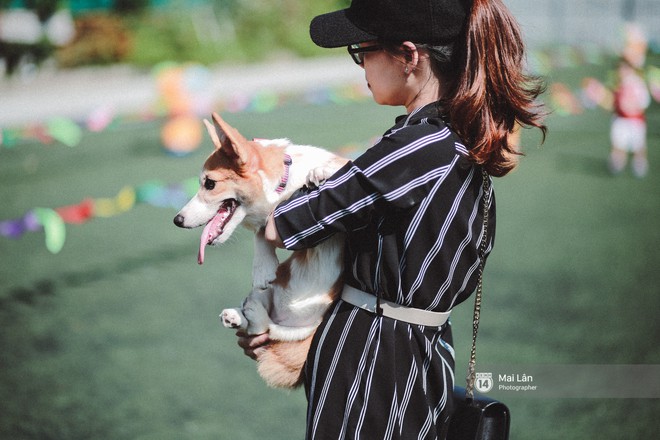 Lễ hội thể thao d&agrave;nh cho chủ v&agrave; th&uacute; cưng độc đ&aacute;o, đ&aacute;ng y&ecirc;u nhất H&agrave; Nội! - Ảnh 2.