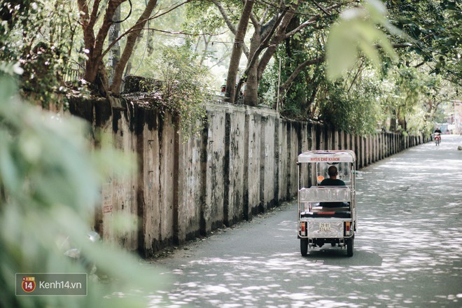 Có những ngày thấy mình thật may mắn vì đang ở Hà Nội, để không bỏ lỡ một phút nào của mùa thu - Ảnh 1.