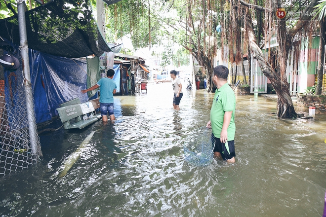 Cảnh tượng bi hài của người Sài Gòn sau những ngày mưa ngập: Sáng quăng lưới, tối thả cần câu bắt cá giữa đường - Ảnh 15.