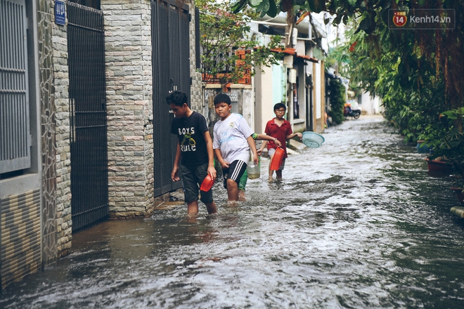 Cảnh tượng bi hài của người Sài Gòn sau những ngày mưa ngập: Sáng quăng lưới, tối thả cần câu bắt cá giữa đường - Ảnh 11.