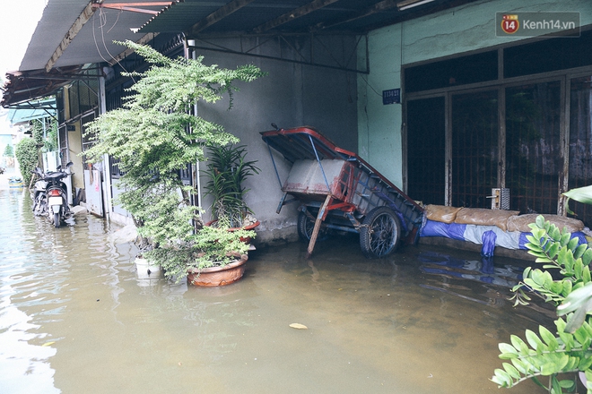 Cảnh tượng bi hài của người Sài Gòn sau những ngày mưa ngập: Sáng quăng lưới, tối thả cần câu bắt cá giữa đường - Ảnh 17.