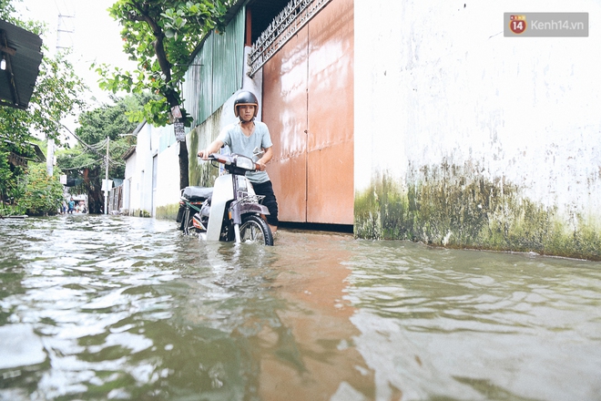 Cảnh tượng bi hài của người Sài Gòn sau những ngày mưa ngập: Sáng quăng lưới, tối thả cần câu bắt cá giữa đường - Ảnh 4.