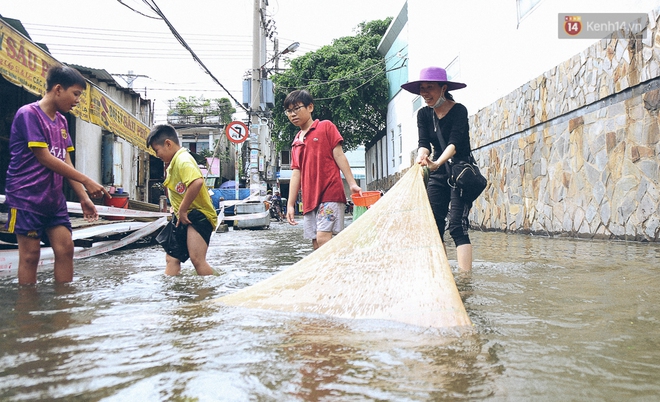 Cảnh tượng bi hài của người Sài Gòn sau những ngày mưa ngập: Sáng quăng lưới, tối thả cần câu bắt cá giữa đường - Ảnh 8.