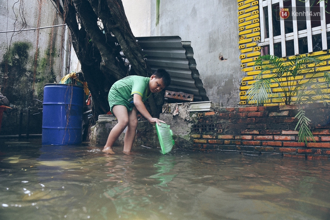 Cảnh tượng bi hài của người Sài Gòn sau những ngày mưa ngập: Sáng quăng lưới, tối thả cần câu bắt cá giữa đường - Ảnh 14.