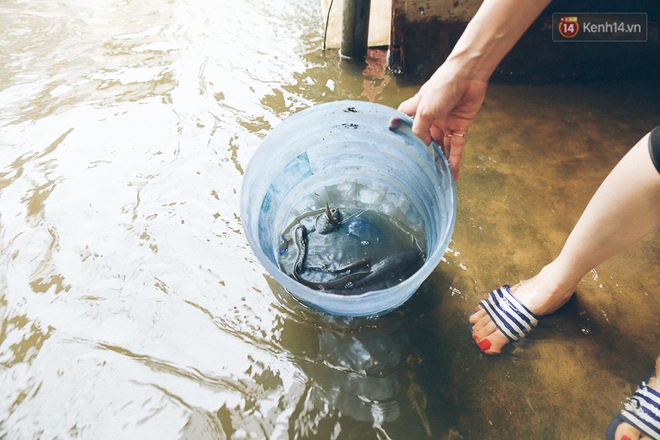 Cảnh tượng bi hài của người Sài Gòn sau những ngày mưa ngập: Sáng quăng lưới, tối thả cần câu bắt cá giữa đường - Ảnh 9.