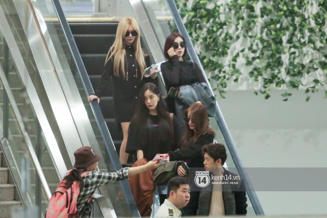 T-ara c&ugrave;ng d&agrave;n trai xinh g&aacute;i đẹp Kpop đồng loạt đổ bộ, g&acirc;y n&aacute;o loạn s&acirc;n bay T&acirc;n Sơn Nhất - Ảnh 2.