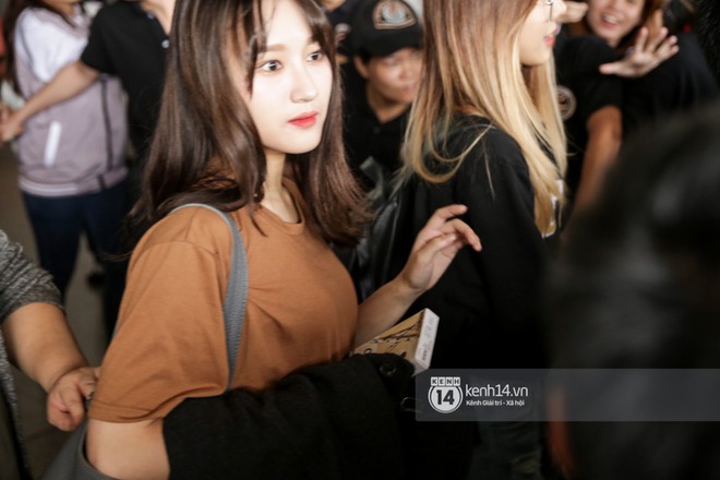 T-ara c&ugrave;ng d&agrave;n trai xinh g&aacute;i đẹp Kpop đồng loạt đổ bộ, g&acirc;y n&aacute;o loạn s&acirc;n bay T&acirc;n Sơn Nhất - Ảnh 21.