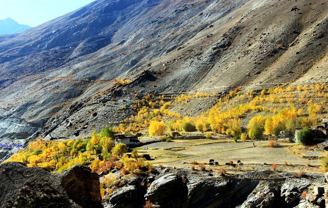 Mùa thu ở Ladakh: Hành trình trải nghiệm của 1 phụ nữ Việt đến nơi đẹp tựa “thiên đường ẩn giấu” ở Ấn Độ - Ảnh 2.