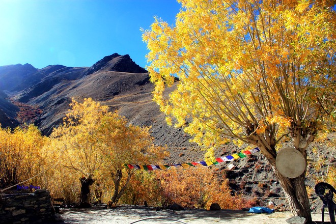 Mùa thu ở Ladakh: Hành trình trải nghiệm của 1 phụ nữ Việt đến nơi đẹp tựa “thiên đường ẩn giấu” ở Ấn Độ - Ảnh 18.