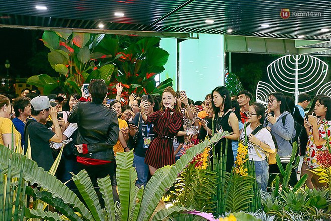 Giới trẻ hào hứng chụp ảnh với các biển quảng cáo Sài Gòn - Chợ Lớn xưa được trưng bày tại The Garden Mall - Ảnh 9.