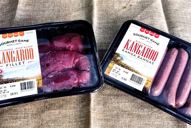 &Uacute;c: Chuột t&uacute;i nhiều gấp đ&ocirc;i người, ch&iacute;nh quyền huy động người d&acirc;n ăn thịt Kangaroo - Ảnh 2.