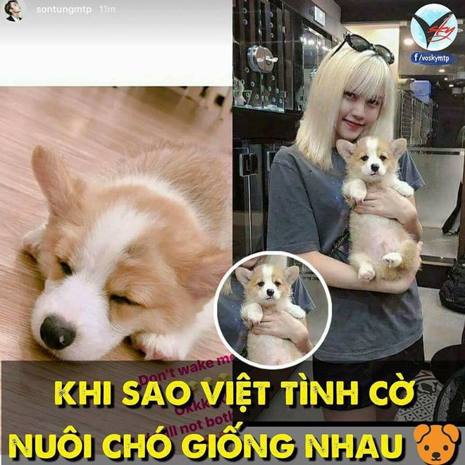 Sau loạt đồ đôi, fan lại tiếp tục soi ra điểm chung đáng ngờ giữa Sơn Tùng M-TP và Thiều Bảo Trâm - Ảnh 1.