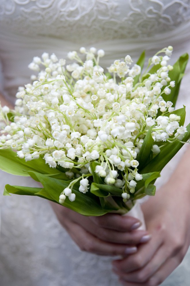 lily-of-the-valleyedit-1509572703813.jpg