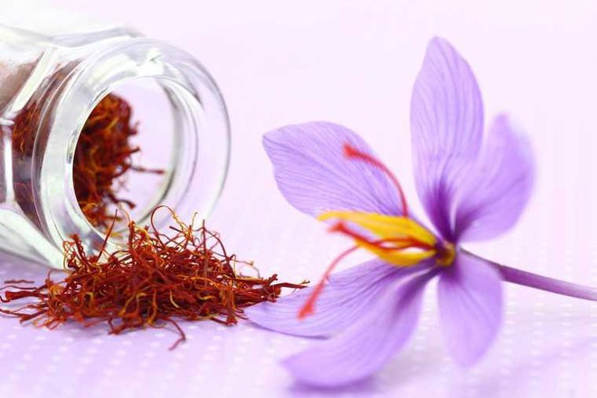 Nhụy hoa nghệ tây - Saffron có thật sự thần thánh không mà chị em nào cũng rủ nhau mua về làm đẹp? - Ảnh 1.