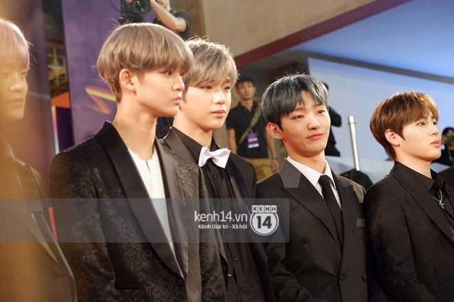 mama_24019944_913954398771340_108690412_n