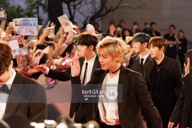 mama_24099478_913954475437999_1671054425_n