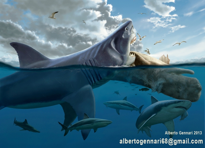 Điều gì xảy ra nếu cá mập Megalodon đối đầu cá voi thủy quái?