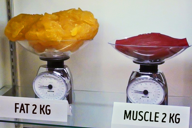 3 b&iacute; k&iacute;p sống nghe th&igrave; ngược đời nhưng m&agrave; lại cực đ&uacute;ng - Ảnh 3.