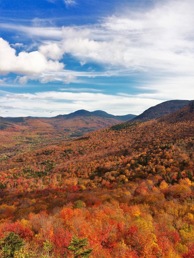 Ngắm phong cảnh đẹp đến ngoạn mục của những khu rừng vào mùa thu - Ảnh 13.