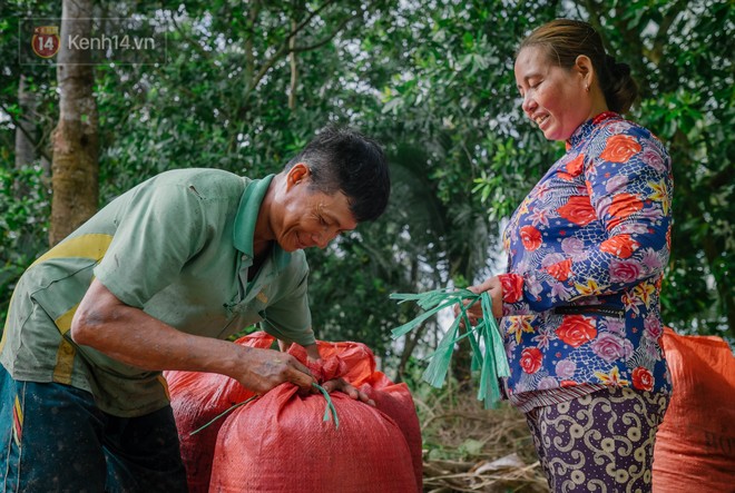 Cặp vợ chồng trong bộ ảnh 25 năm gắn b&oacute; c&aacute;nh đồng: Gặp nhau l&uacute;c 16 tuổi, y&ecirc;u nhau 3 năm, mỗi năm chỉ gặp được đ&uacute;ng 1 lần - Ảnh 5.
