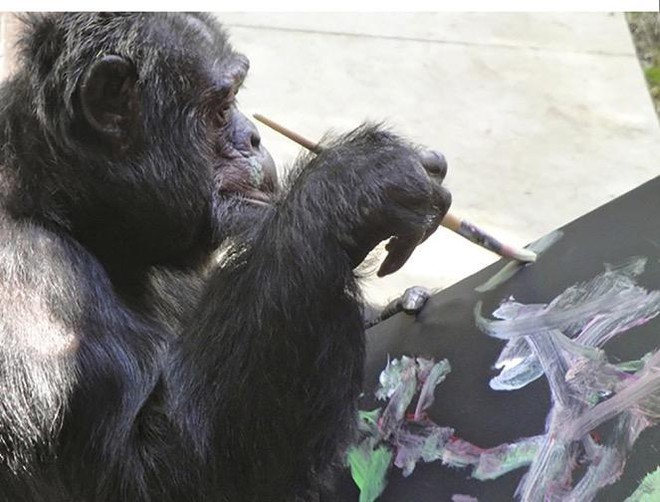 Con khỉ cưng của huyền thoại Michael Jackson giờ đã trở thành họa sĩ nổi tiếng - Ảnh 1.