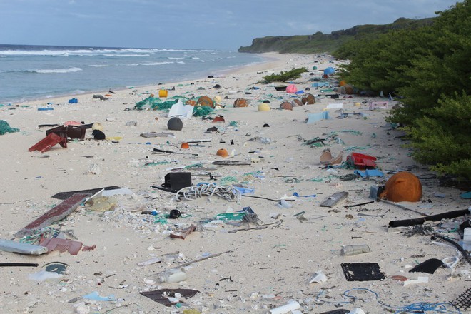 Hòn đảo xinh đẹp được UNESCO công nhận là Di sản Thế giới này đang phải hứng chịu gần 18 tấn rác thải - Ảnh 3.