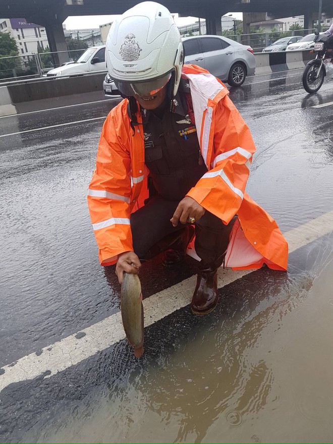 Loạt ảnh hài hước chứng minh ngập lụt ở Bangkok không hề buồn rười rượi như người ta vẫn tưởng - Ảnh 3.