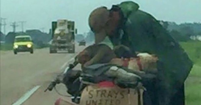 Thấy người đ&agrave;n &ocirc;ng ngh&egrave;o khổ c&ugrave;ng đ&agrave;n ch&oacute; b&ecirc;n đường, c&ocirc; g&aacute;i dừng xe gi&uacute;p đỡ v&agrave; c&aacute;i kết c&oacute; hậu ph&iacute;a sau - Ảnh 1.