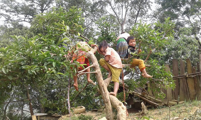 Cô giáo về nghỉ hè rồi không quay lại nữa và nỗi nhớ của những đứa trẻ vùng cao lấm lem bùn đất - Ảnh 1.