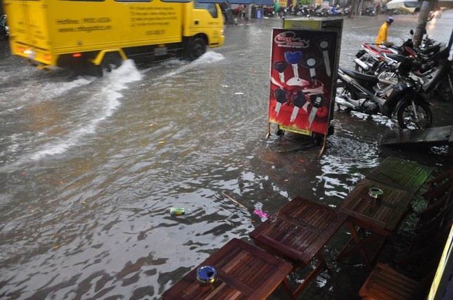 Cây bật gốc đổ chắn ngang đường sau trận mưa lớn ở Sài Gòn - Ảnh 5.