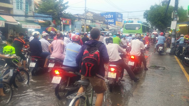 Cây bật gốc đổ chắn ngang đường sau trận mưa lớn ở Sài Gòn - Ảnh 7.