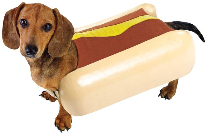 Ăn hot dog nhiều là thế nhưng tên gọi này từ đâu chui ra vậy? - Ảnh 2.