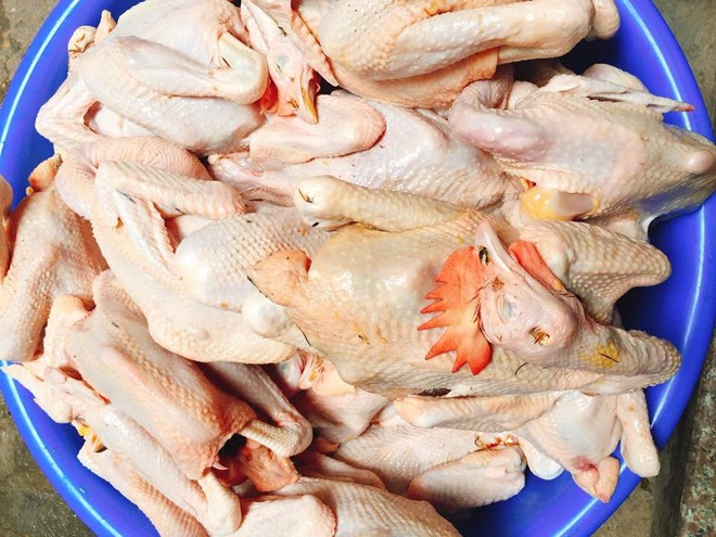 Sự thật g&agrave; ri đặc sản mổ sẵn 60 ng&agrave;n/con b&aacute;n la liệt ở H&agrave; Nội - Ảnh 2.