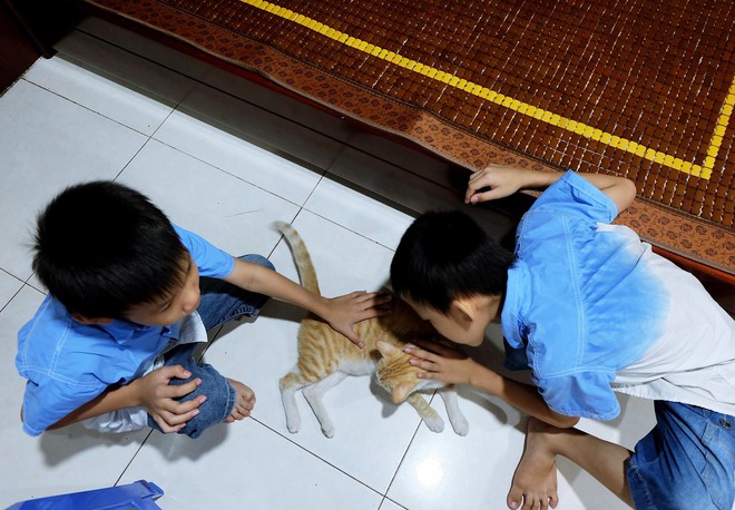 Chuyện 2 cậu bé sinh đôi Tắc Kè và Ba Ba vẽ tranh, treo giải 10 USD để tìm chú mèo đi lạc ở Sài Gòn - Ảnh 7.