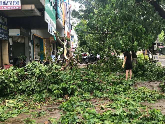 Chùm ảnh: Đường phố TP Vinh - Nghệ An tan hoang sau bão số 2 - Ảnh 1.
