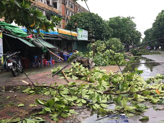 Chùm ảnh: Đường phố TP Vinh - Nghệ An tan hoang sau bão số 2 - Ảnh 4.