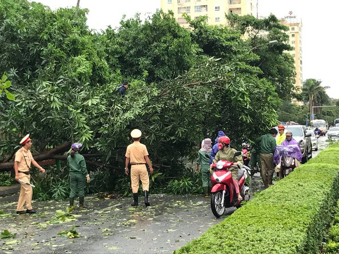 Chùm ảnh: Đường phố TP Vinh - Nghệ An tan hoang sau bão số 2 - Ảnh 7.