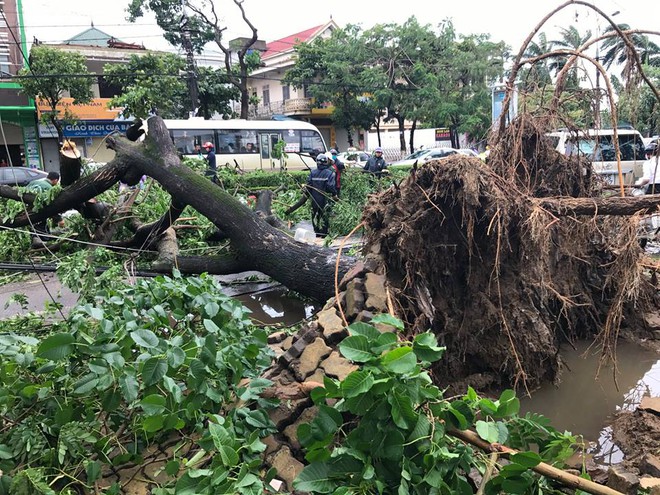 Chùm ảnh: Đường phố TP Vinh - Nghệ An tan hoang sau bão số 2 - Ảnh 5.